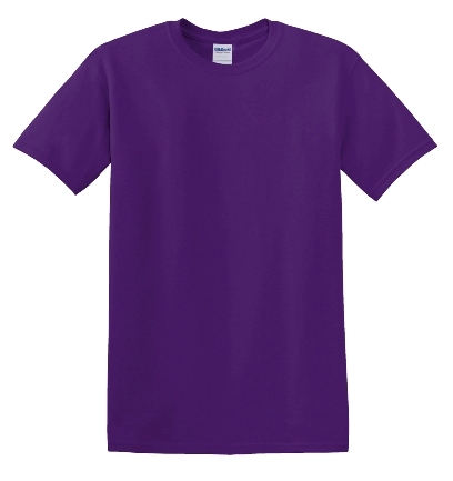 Solid T-Shirt  - 100% Cotton (Purple)